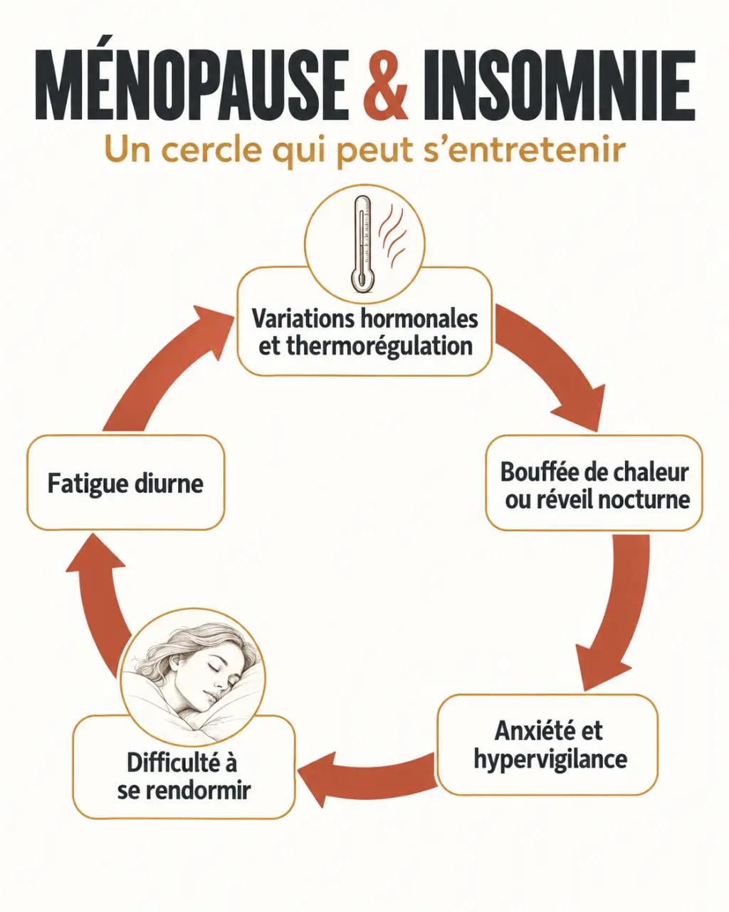 Infographie sur le cercle vicieux entre ménopause et insomnie, bouffées de chaleur, anxiété et fatigue
